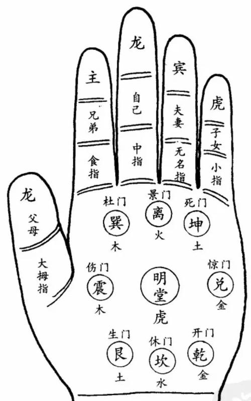 中医诊断课程｜伏羲九宫观手72诊视频教程(高清版+中医学习资料+免费分享)